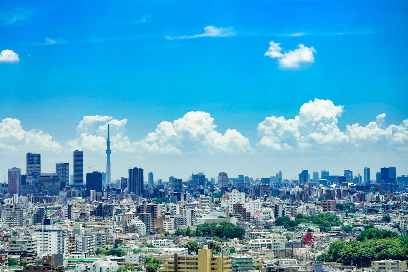 東京の街並み。海外に法人をつくる場合でも、日本側の制度の確認は日本国内で必要になる。